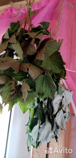 Чай,сухие листья, мята, мелисса, малина,смородина