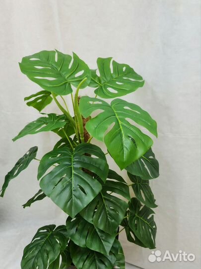 Монстера Премиум цветок искусственный в офис кафе