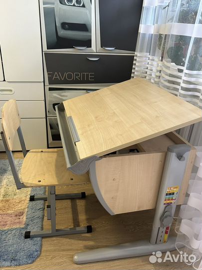 Растущая парта и стул Дэми