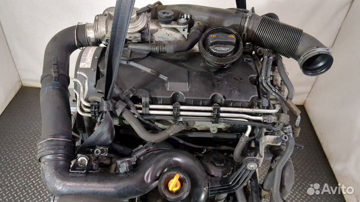 Двигатель Volkswagen Jetta 5 BXE 1.9 Дизель, 2007