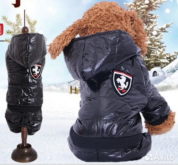 Одежда, обувь и аксессуары для собак