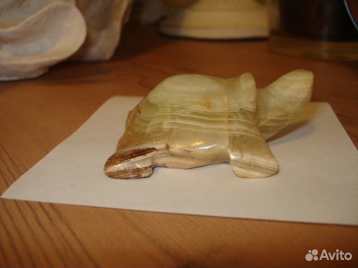 Черепаха оникс