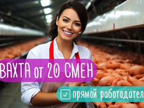 Вахта 20 смен Комплектовщик