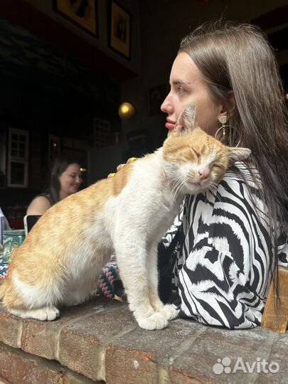 Экскурсия девичник Стамбул