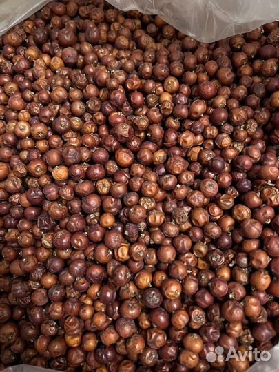 Можжевеловая ягода