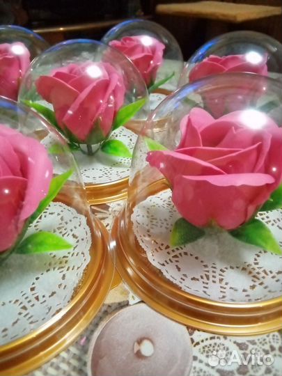 Мыльная роза в куполе