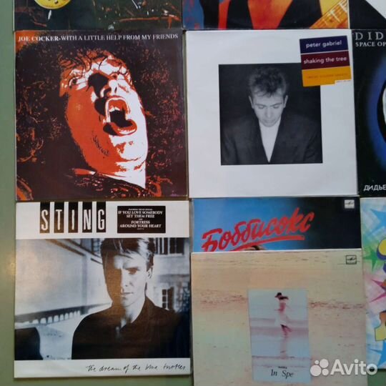 Виниловые пластинки из коллекции
