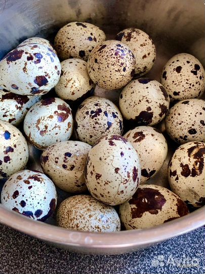 Яица куриные и перепелиные