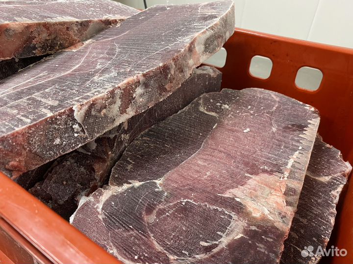 Мясо конина