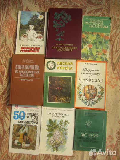 Г.Ф. Моисеева. С.Г. Макеенко. Наши зелёные целите