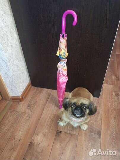 Продаю зонтик детский winx В отличном состоянии