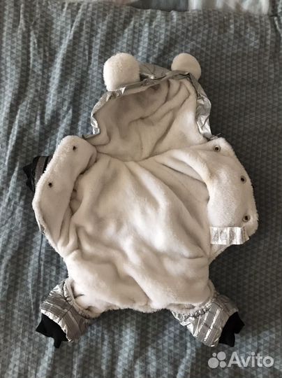 Одежда для маленьких собак