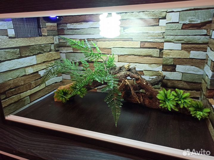 Террариум для рептилий
