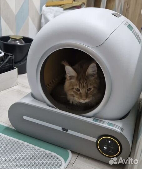 Умный кошачий лоток
