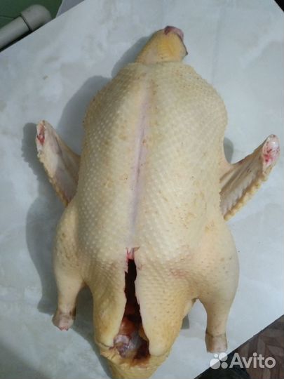 Мясо индоутки