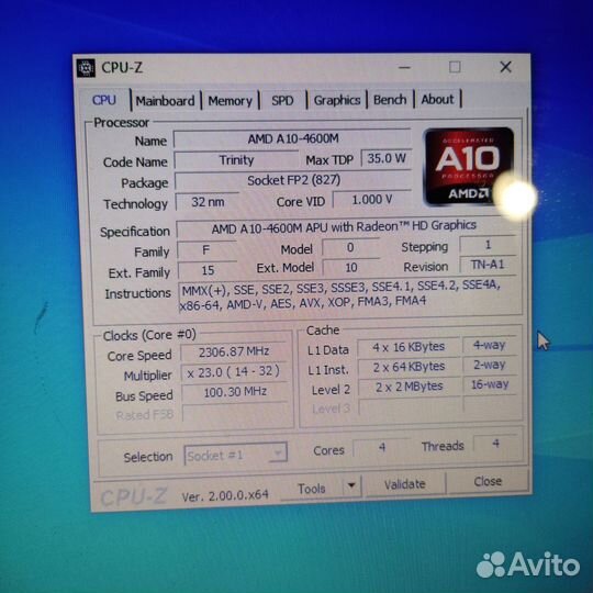 Acer