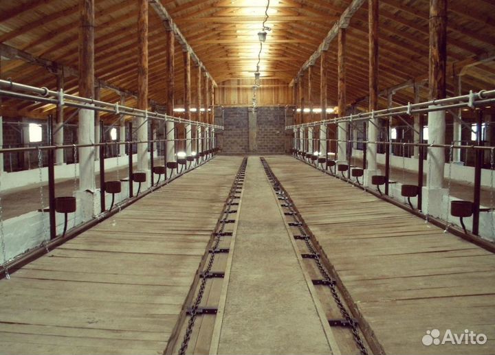 Стойловое оборудование с системой поения, доения