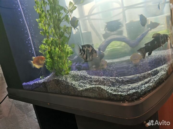 Аквариум с тумбой 130 литров