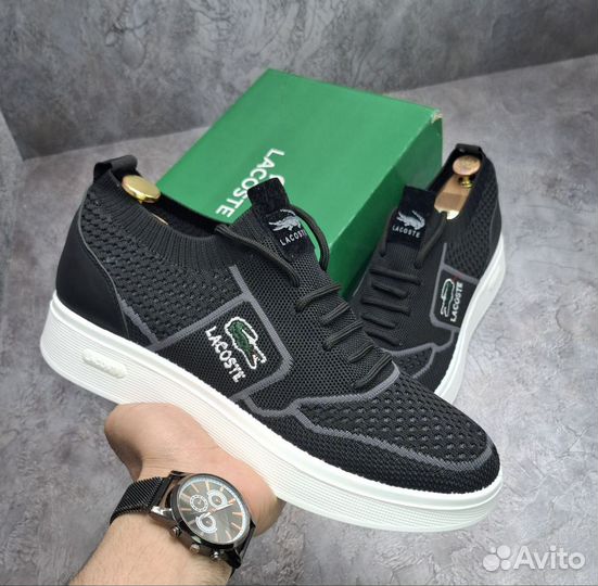 Кроссовки мужские lacoste