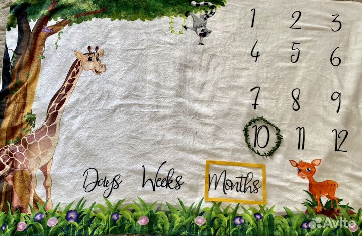 Плед-метрика