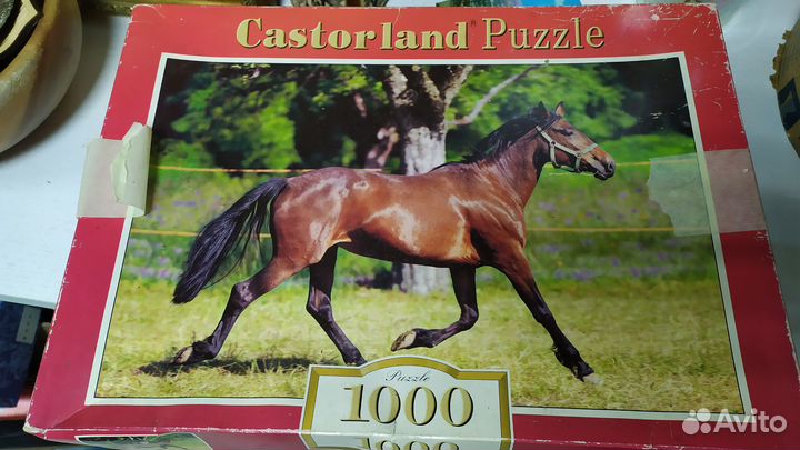 Puzzle, 1000, пазл, лошадь, конь