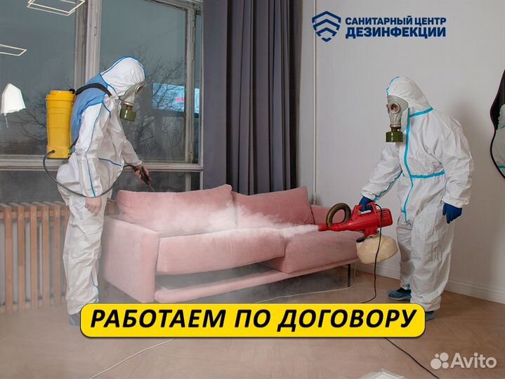 Уничтожим клопов, тараканов, плесень, запах