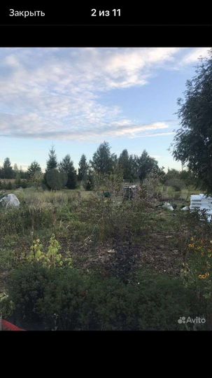 Участок 6 сот. (СНТ, ДНП)