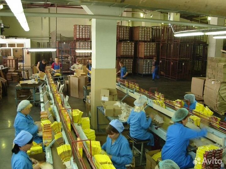 Упаковщик чая сидя с проживанием и питанием Москва