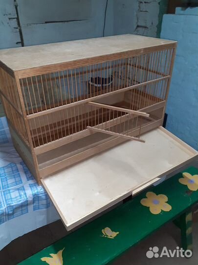 Певчие птицы