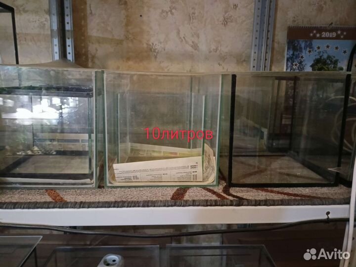 Аквариум