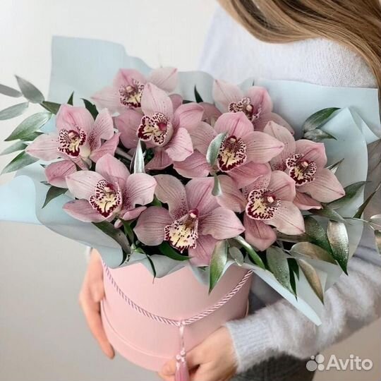 Орхидея Цимбидиум