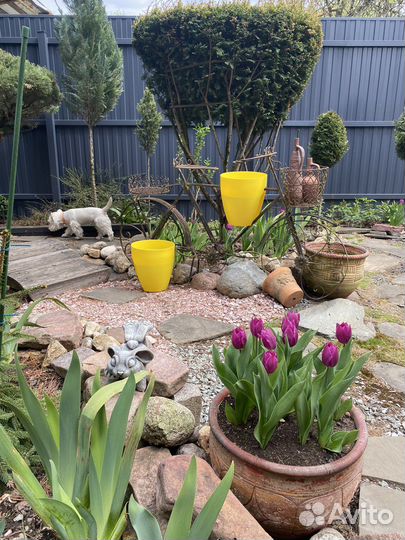 Горшки для сада пластиковые