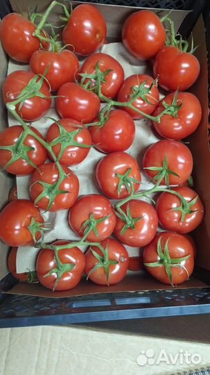 Овощи фрукты с оптовой базы и доставка