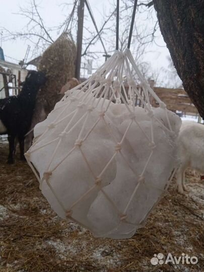 Рептух (медленные кормушки)