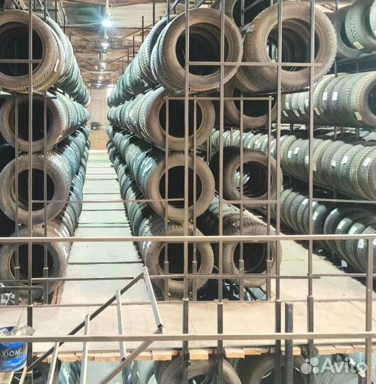 Triangle IceLink Trin PS01 205/60 R16 96W