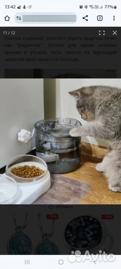 Фонтан поилка для кошек