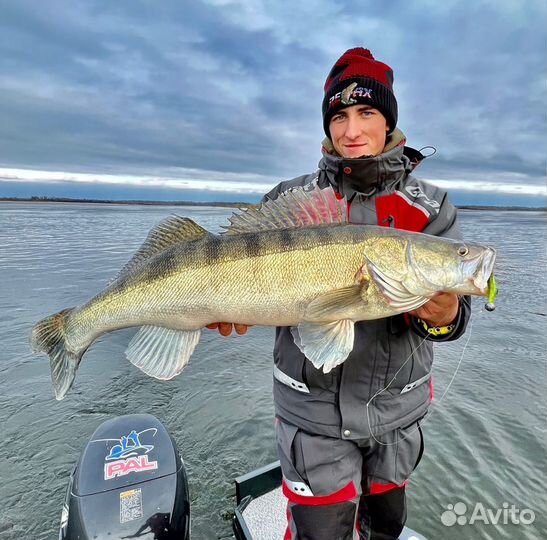 Рыбалка с гидом под Волгоградом Stalingrad Fishers