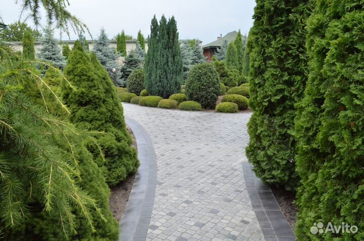 Тротуарная плитка 