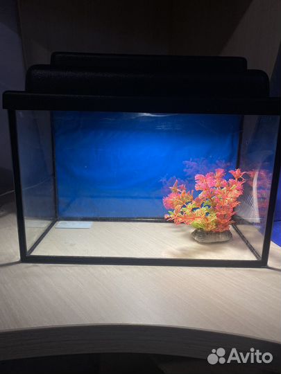 Аквариум