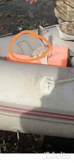 Лодка пвх с мотором