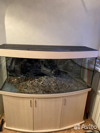 Продам аквариум 450 литров полукруглый на тумбе