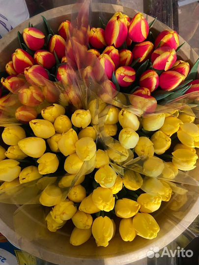 Тюльпаны к 8 марта