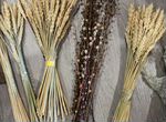 Пшеница ростовская и лен сухоцветы
