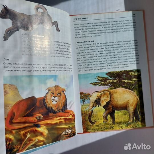 Детские книги пакетом