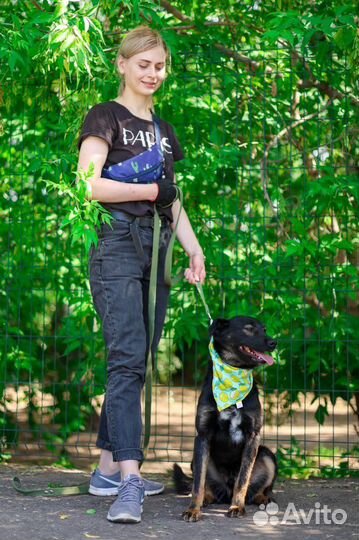 Спасите пока не стало поздно