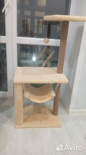 Когтеточка