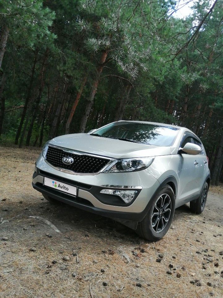 Kia Sportage: фото владельца
