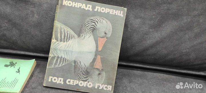 Книга год серого гуся