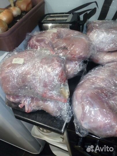 Мясные породы кроликов