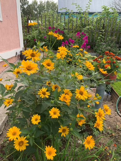 Дача 60 м² на участке 4,2 сот.